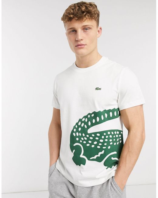 Lacoste – T-Shirt aus Pima-Baumwolle mit großem Krokodillogo in Weiß für  Herren | Lyst AT