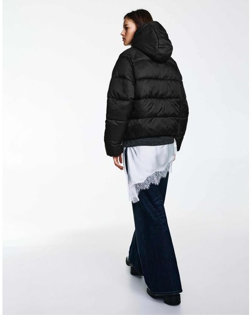 Doudoune Pull&Bear en coloris Black