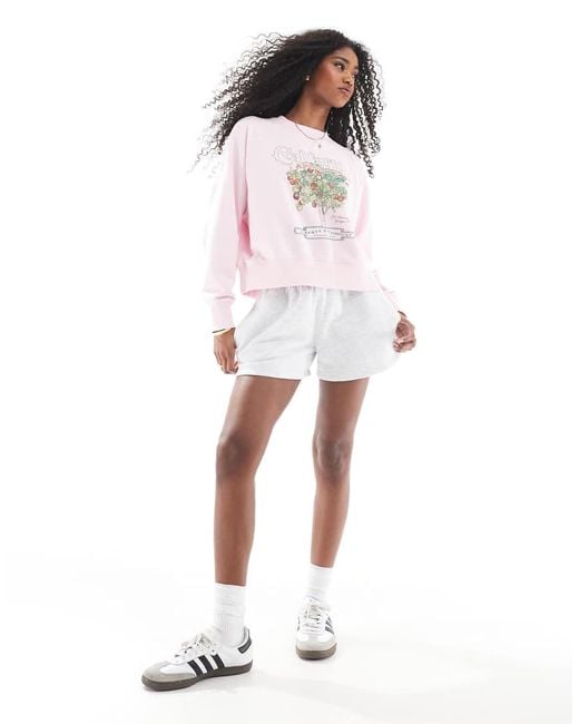 Cotton On White Cotton On Farmer Market Graphic Crew Neck Sweater