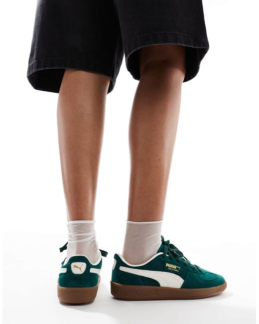Palermo - baskets - forêt PUMA en coloris Green