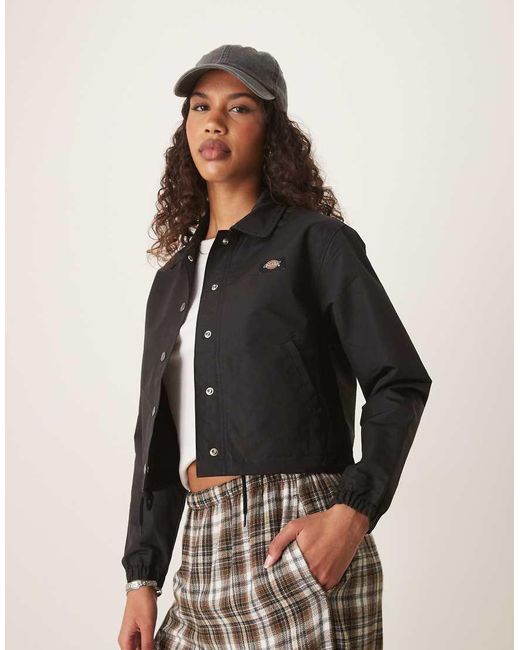 Oakport di Dickies in Blue
