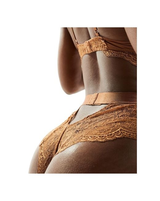 Ann Summers Brown Hold Me Tight Underwired Lace Bodysuit