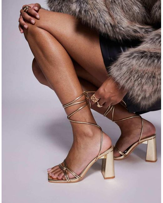 Schiffer di Public Desire in Brown