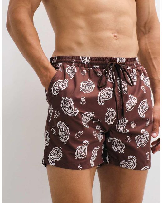 South Beach Brown Paisley Print Swim Short for men