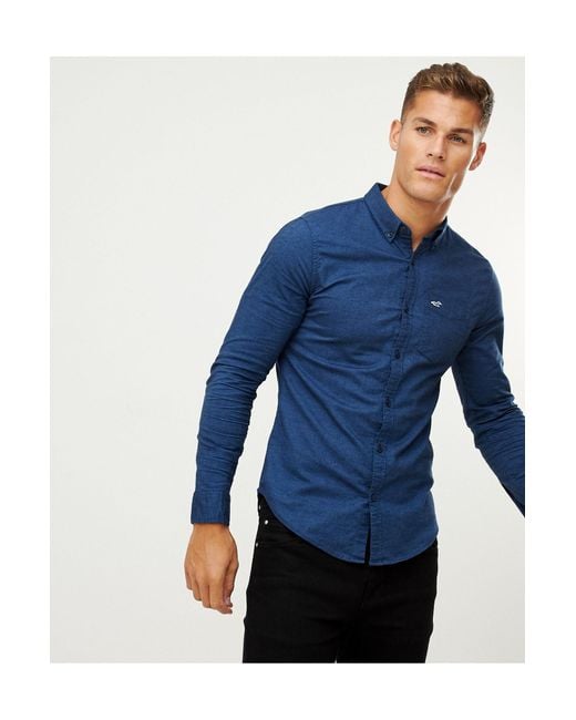 Hollister Blue Muscle Fit Icon Logo Oxford Shirt for men