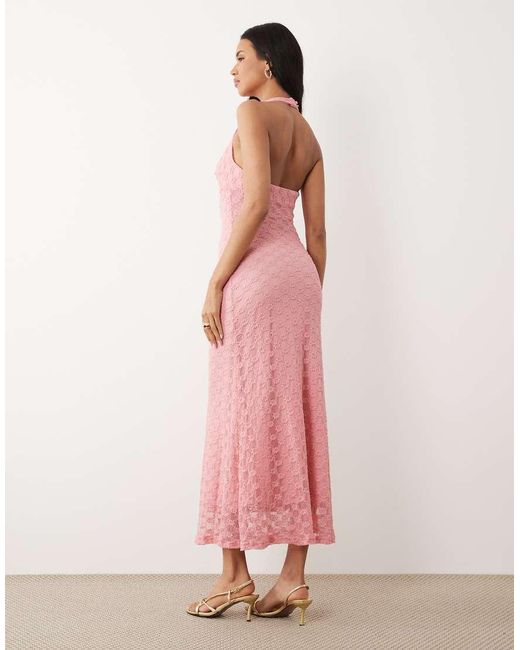 Bardot Pink Mariko Exclusive Halter Neck Floral Embroidered Lace Maxi Dress
