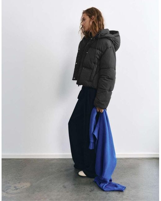 Pull&Bear Blue Cropped Puffer Jacket With Hood
