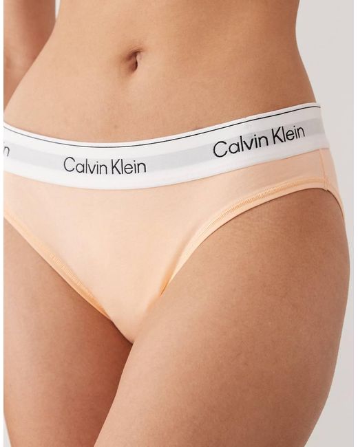 Calvin Klein Natural Icon Cotton Modal Bikini Briefs