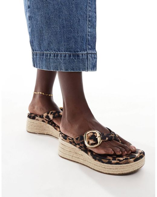 Toucan - tongs compensées à entredoigt et boucle - léopard ASOS en coloris Blue