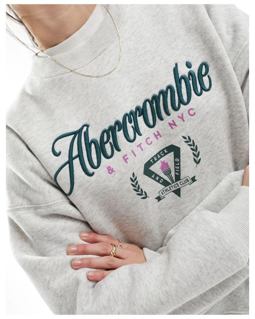 Abercrombie & Fitch White Heritage Embriodery And Print Sweatshirt
