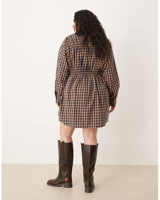 ASOS Brown Asos Design Curve Shirt Mini Dress With Cinched Waist