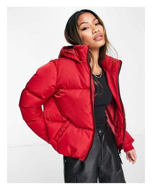 French Connection Red Hooded Padded Jacket