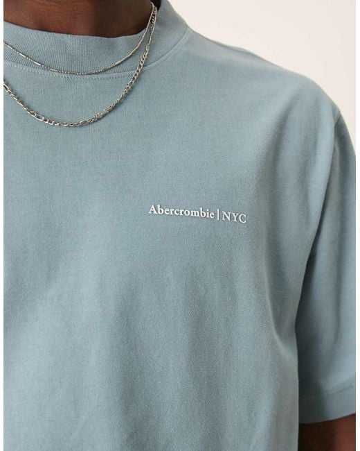 Abercrombie & Fitch Blue Premium Logo T-shirt for men