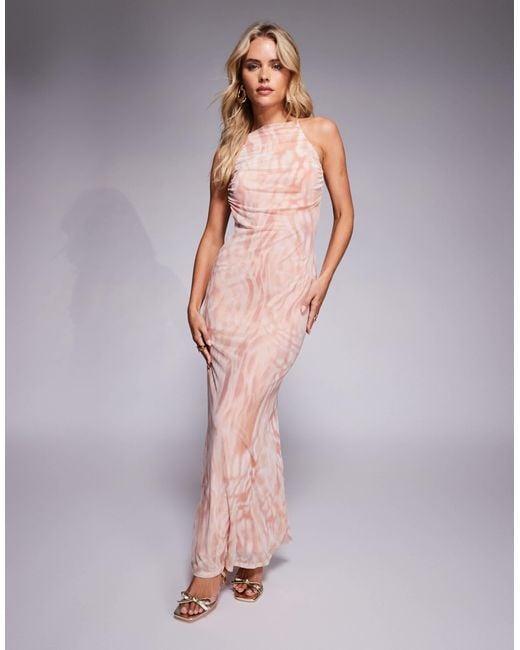 ASOS Multicolor Asos Design Petite Halterneck Strap Back With Trim Mesh Maxi Dress