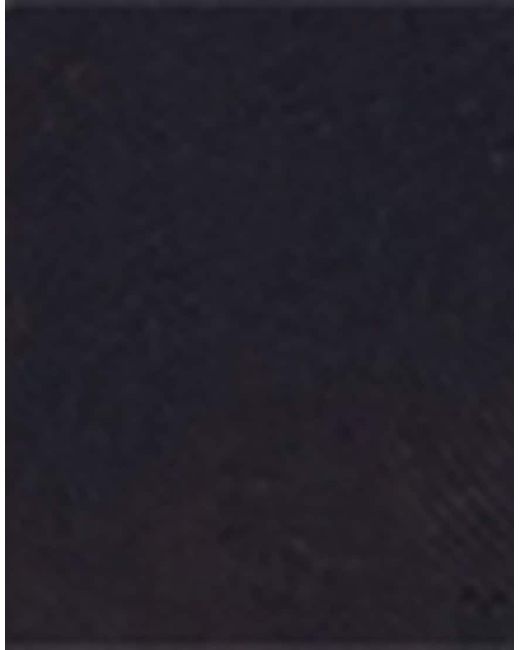 Calzedonia Blue Trim Detail Short Socks