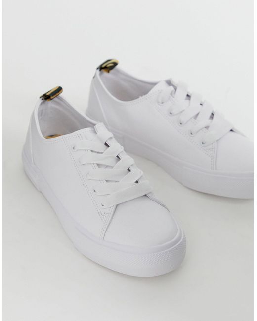 champs new releases jordans