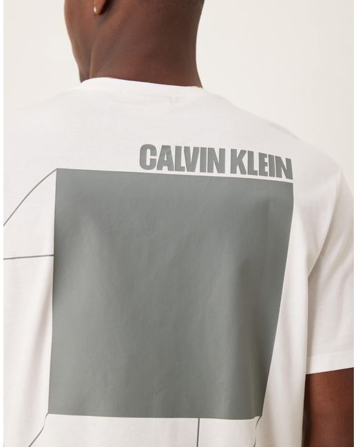 Calvin Klein Natural 3d Box Back Print T-shirt for men