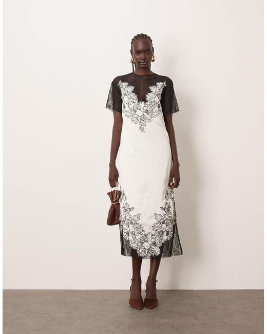 ARRANGE Natural Satin Lace Applique Embroidered Column Midi Dress