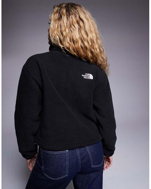 The North Face Blue Fleeski Quarter Zip Pullover