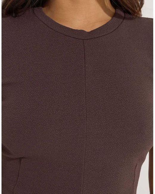 PixieGirl Brown Petite Mini Skater Dress