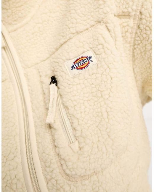 Mount Hope di Dickies in Blue