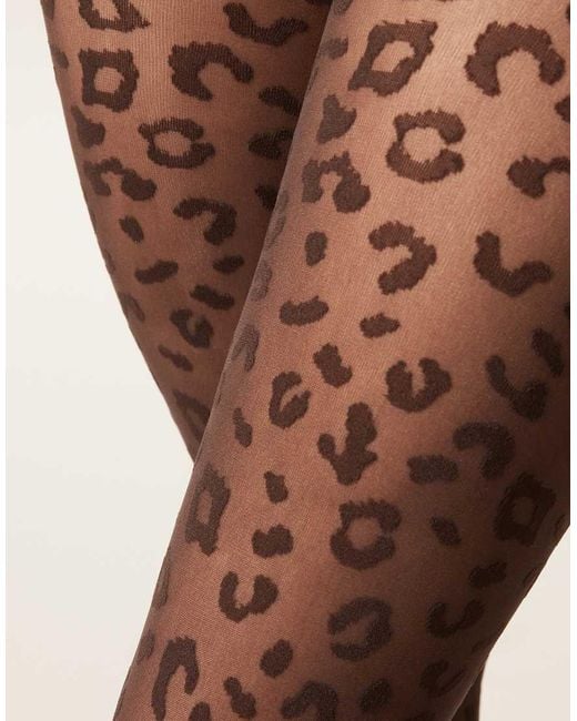 Calzedonia Brown Animal Pattern 30 Denier Sheer Tights