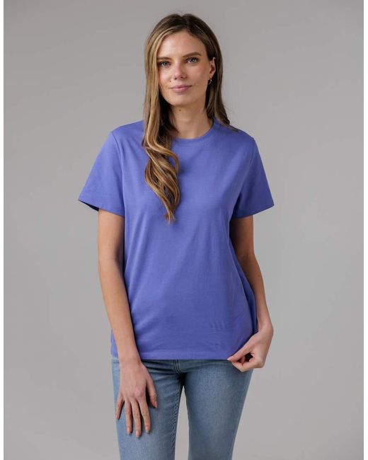 French Connection Blue 3 Pack Cotton Crew Neck Logo Short Sleeve T-Shirts