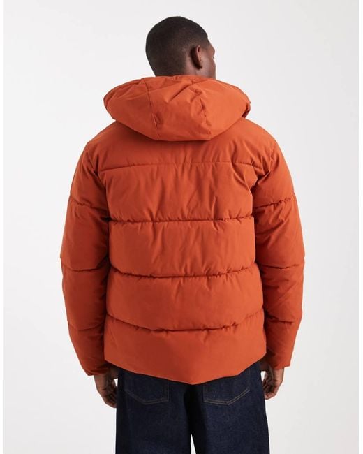 Jack & Jones Red Hooded Puffer Jacket for men