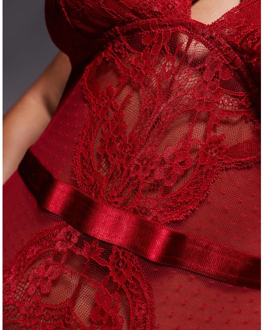 ASOS Red Asos Design Curve Lola Lace Soft Bodysuit