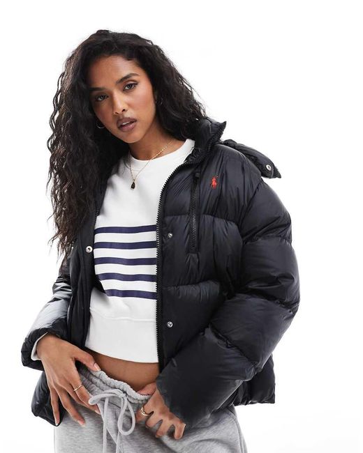 Polo Ralph Lauren Multicolor Icon Logo Puffer Jacket