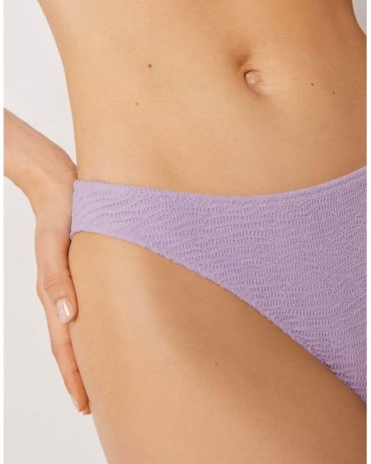 Calzedonia Purple Bikini Bottoms Crinkle Waves