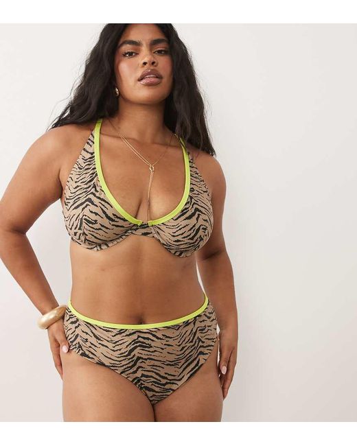 ASOS Brown Asos Design Curve Zaria High Leg High Waist Bikini Bottom With Contrast