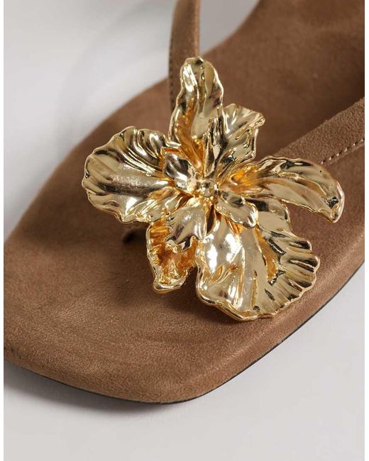 ASOS Brown Havana Trim Detail Toe Thong Kitten Heel Sandals