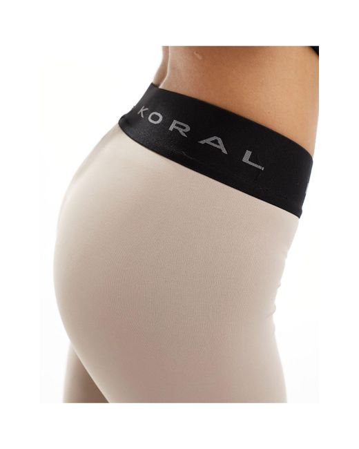 Koral aden cheap legging
