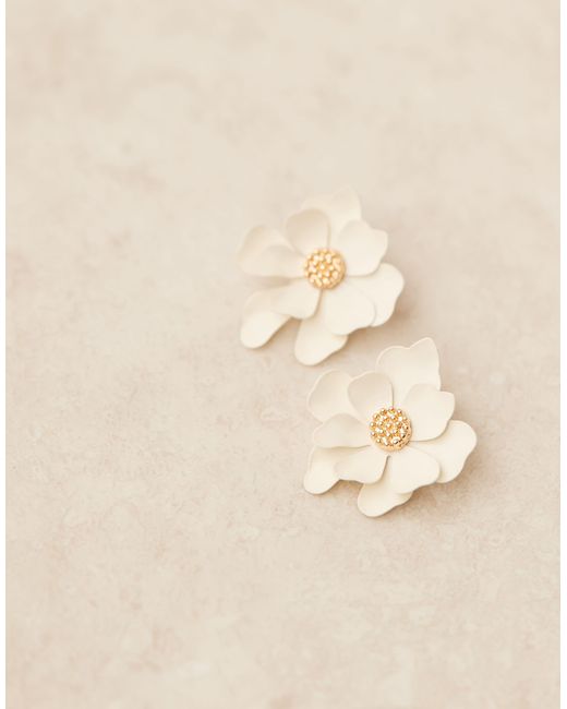 ASOS Brown – ohrstecker
