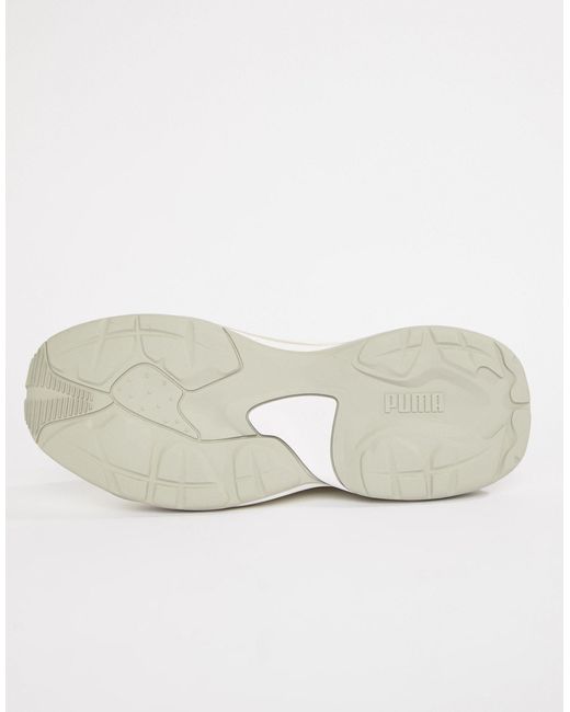 puma thunder desert homme brun