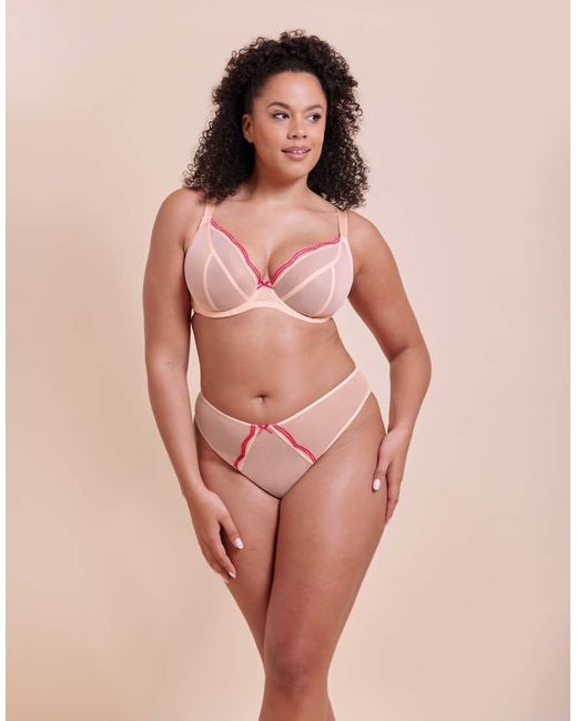 Curvy Kate Pink Lightstyle Scallop Brazilian