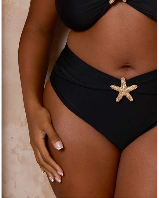 Moda Minx Curve Brown X Alessa Tyrrell-charles Starfish High Waisted Bottoms