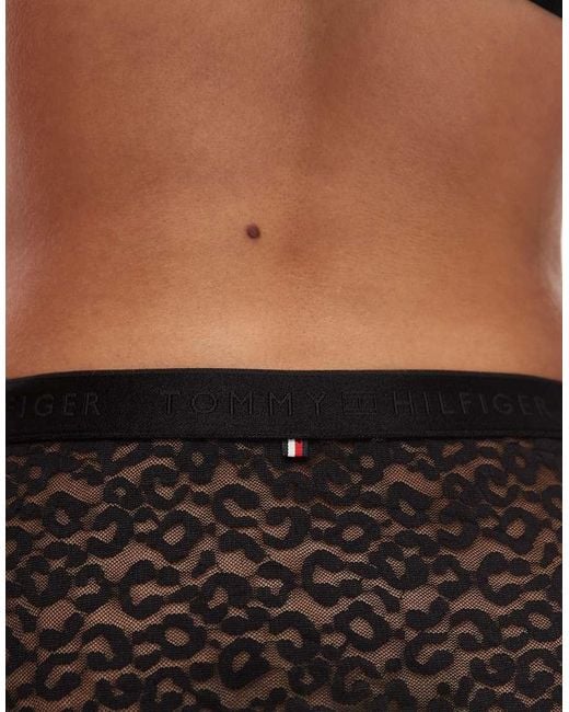 Tommy Hilfiger Black Modern Lace Bikini Briefs