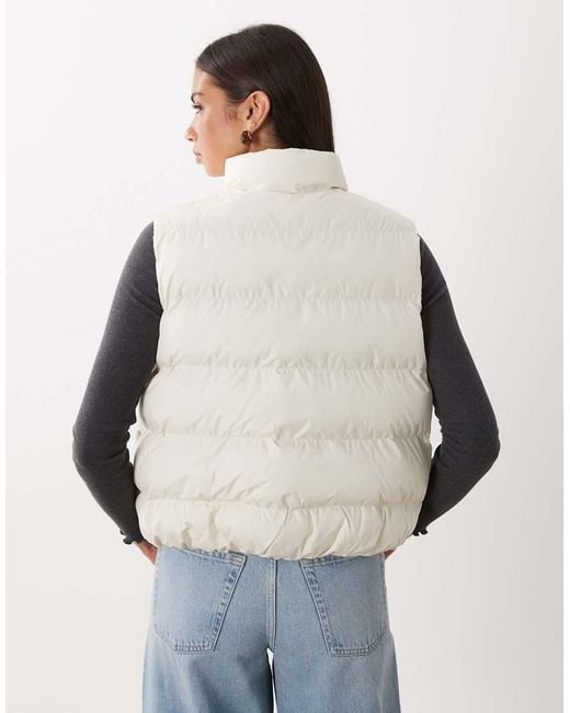 New Balance Multicolor Boston Puffer Vest