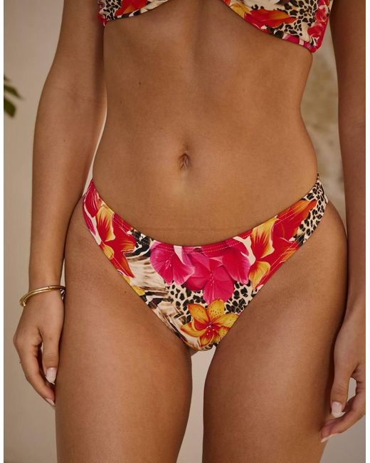 South Beach Brown X Sasha Corte-t Floral Print High Leg Bikini Bottom