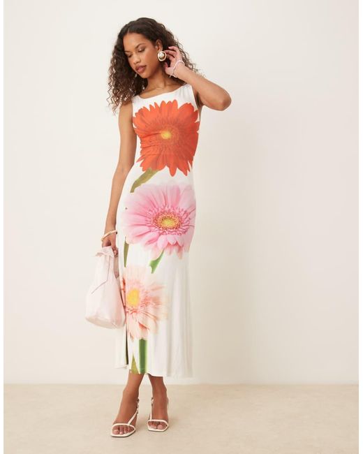 Tyler McGillivary Red Gerbera Flower Bloom Print Midi Shift Dress