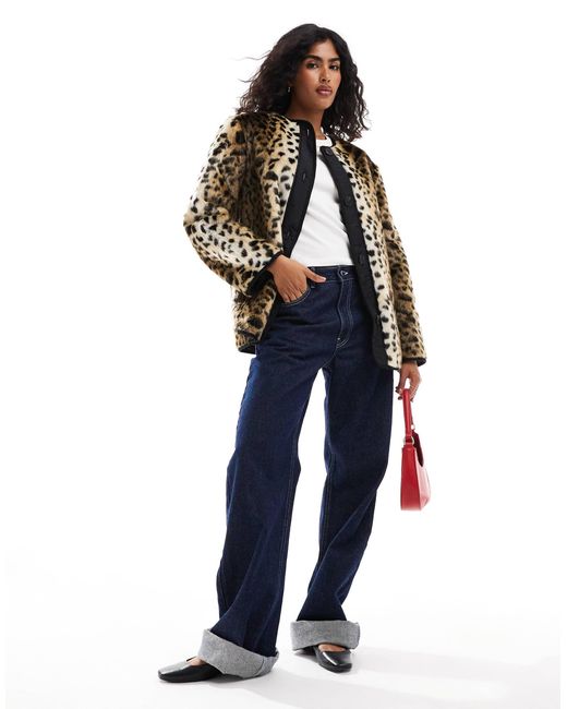 ASOS Blue Leopard Print Faux Fur Collarless Jacket