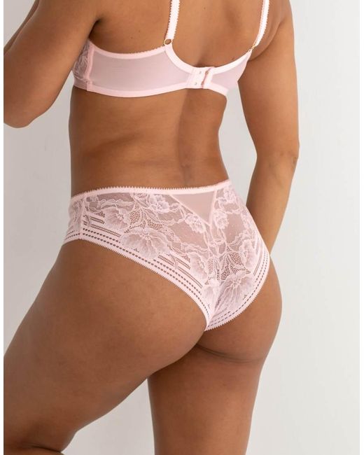 Pour Moi Brown Taylor Lace Midi Brazilian Brief