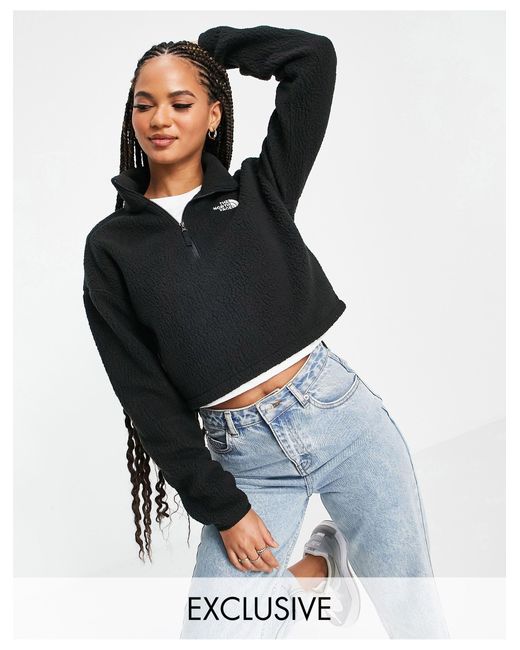 north face cropped sweater