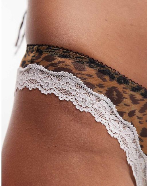 ASOS Multicolor Savannah Sheer Mesh Print Brazilian Briefs With Cream Lace Trim-multi