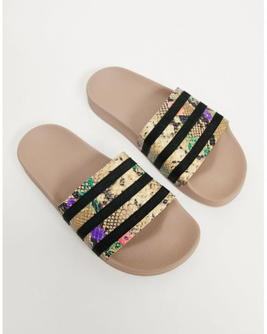adidas Originals Adilette - Slippers Met Slangenprint | Lyst NL