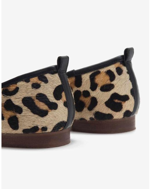 OFF THE HOOK Leren Ballerina's Met Luipaardprint in het Brown