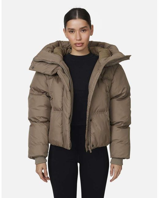 Good For Nothing Brown Panelled Puffer Jacket