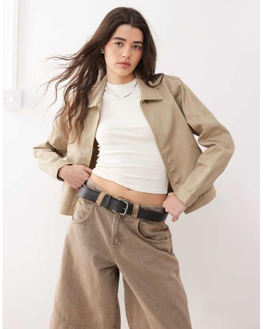 Dickies Natural Cropped Eisenhower Jacket